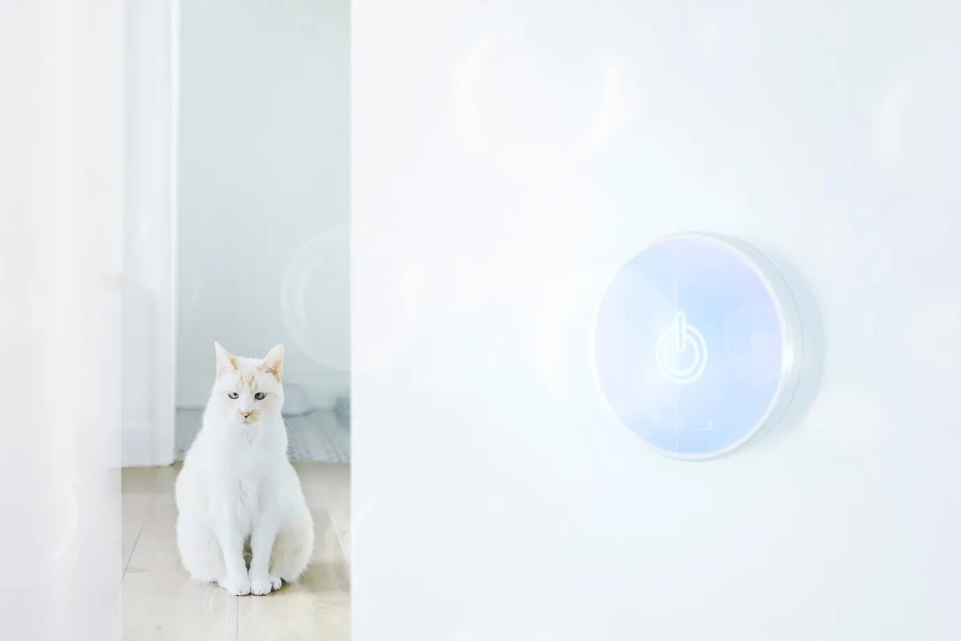 Background for smart pet and smart home technology